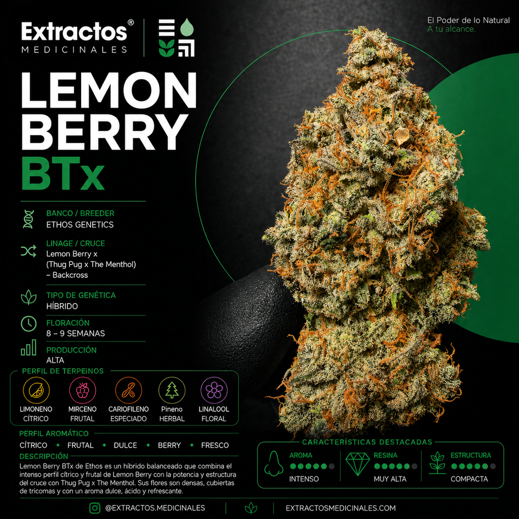 LEMON BERRY
