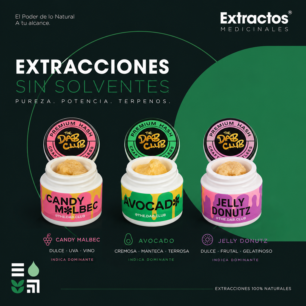 CANDY MALBEC LIVE ROSIN
